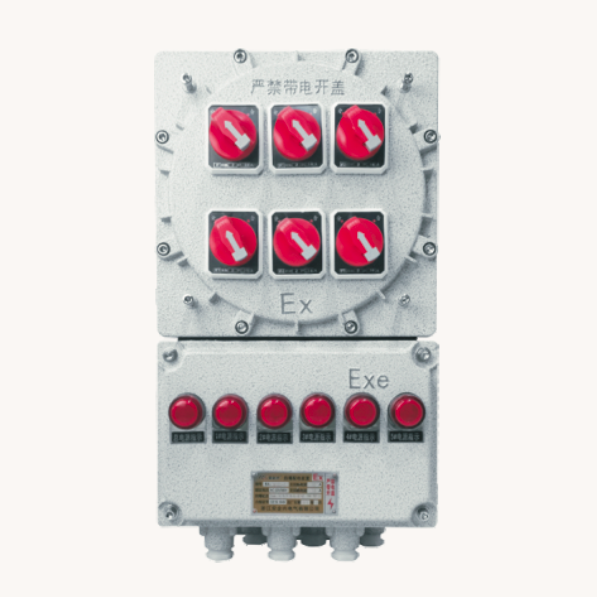 Explosion-proof Power Maintenance Box (BXX51)