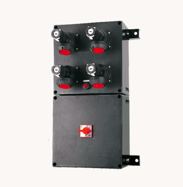 Explosion-proof and Anti-corrosion Maintenance Box (BXS8050)