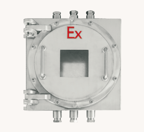 Explosion-proof Increased Safety Box (BJX)