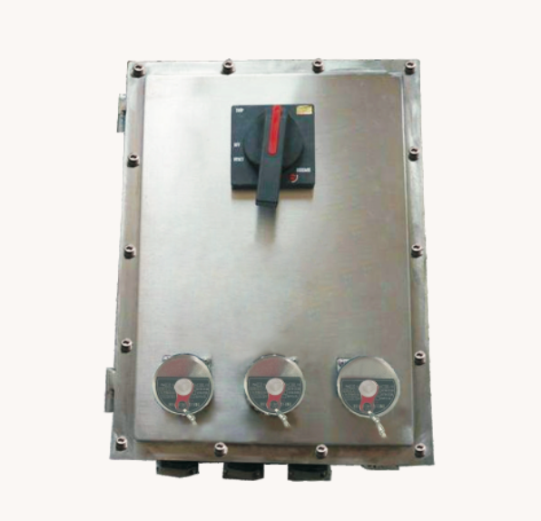 Explosion-proof Stainless Steel Maintenance Box (BXS)