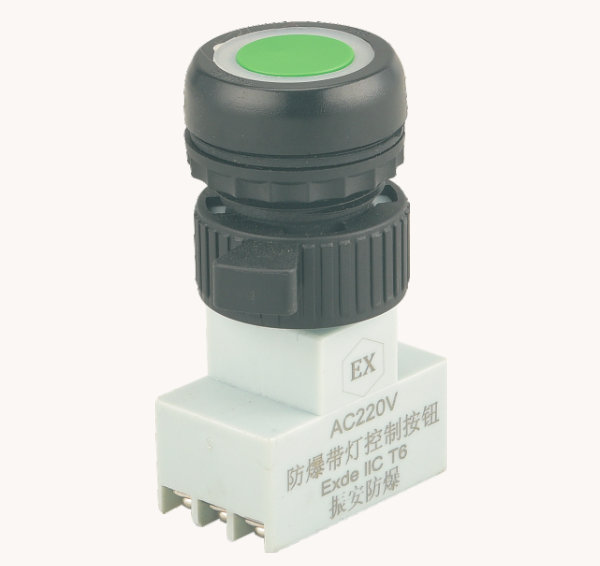 Explosion-proof Control Button