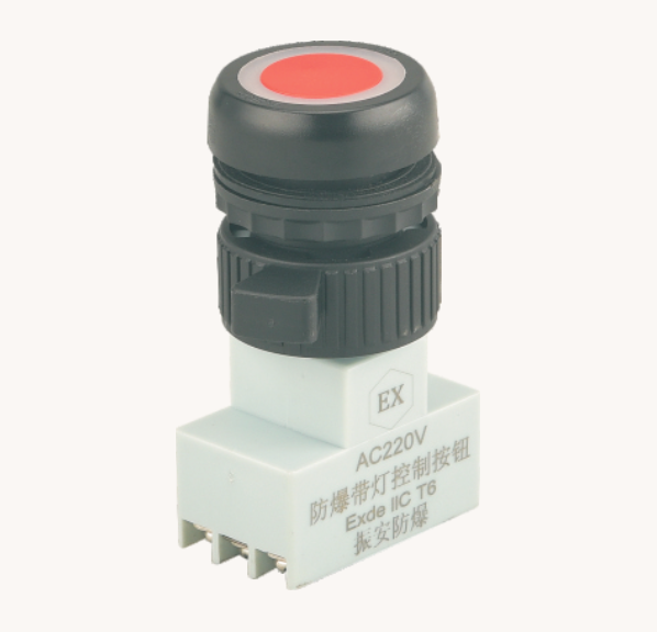 Explosion-proof Light Button